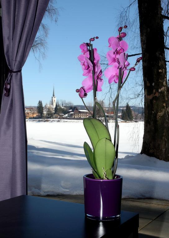 Apartmany Bella Vista Lipno Frydava Zewnętrze zdjęcie