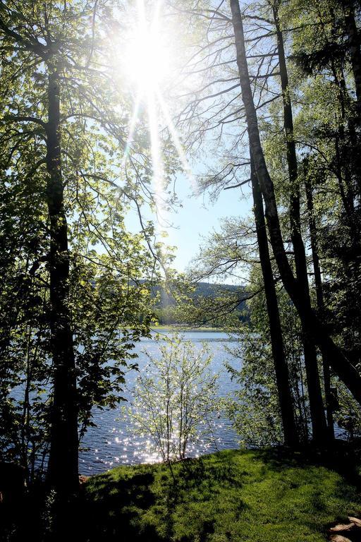 Apartmany Bella Vista Lipno Frydava Zewnętrze zdjęcie